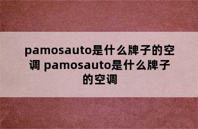 pamosauto是什么牌子的空调 pamosauto是什么牌子的空调